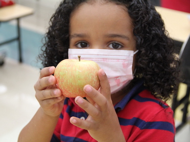 Apple Crunch
